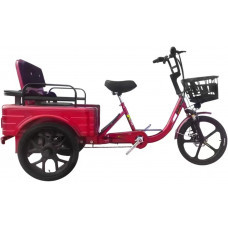 Triciclo para Adultos Y Ancianos 