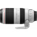  Canon EF 100-400mm f/4.5-5.6L IS II USM - Objetivo para Canon (Distancia Focal 100-400mm, Apertura f/4.5-5.6L IS II USM), Negro y Blanco 